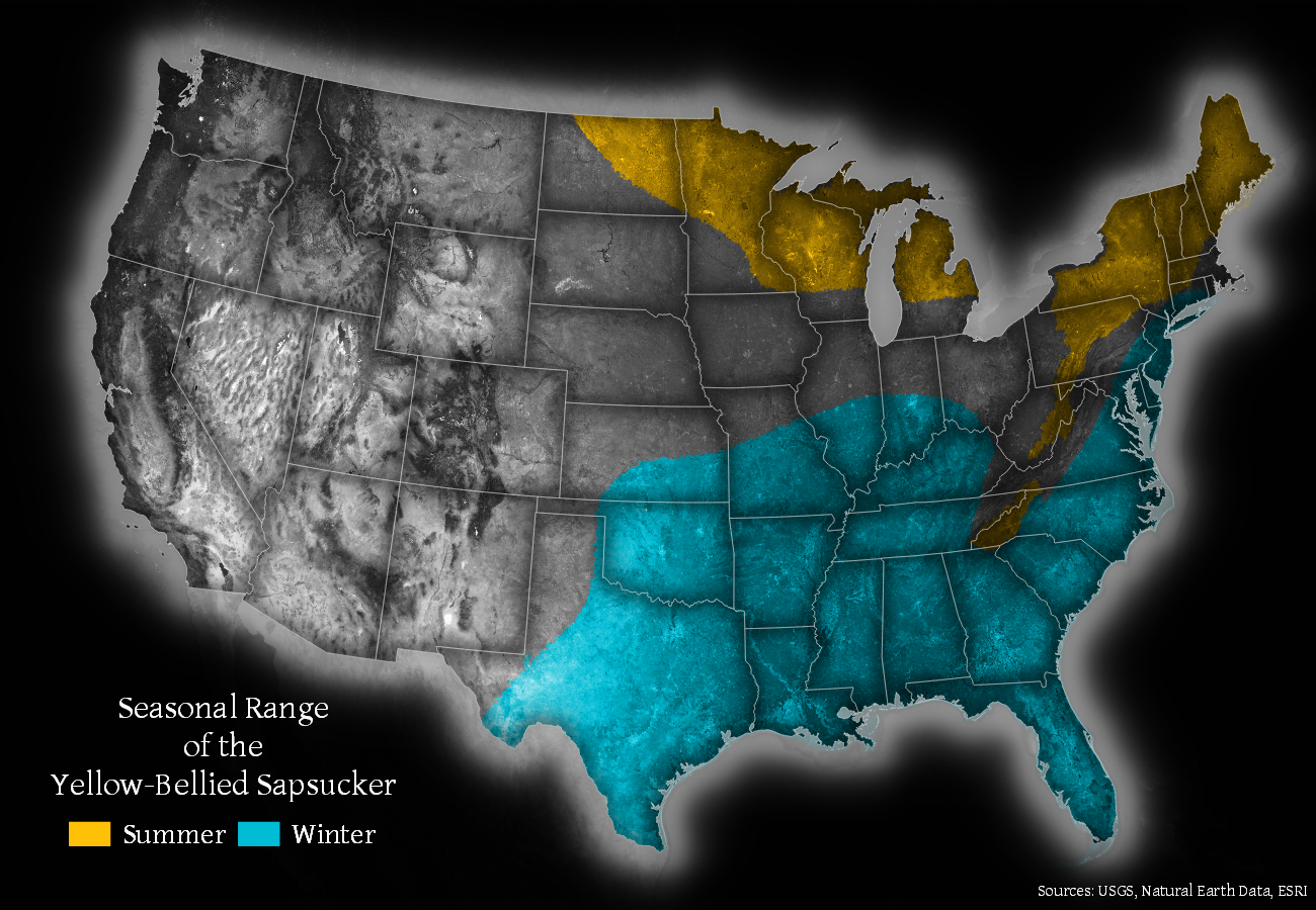 Yellow-Bellied Sapsucker Range Map